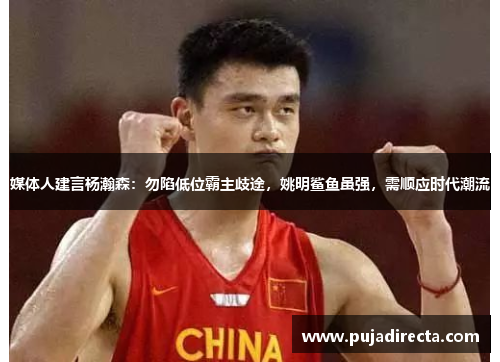 媒体人建言杨瀚森：勿陷低位霸主歧途，姚明鲨鱼虽强，需顺应时代潮流